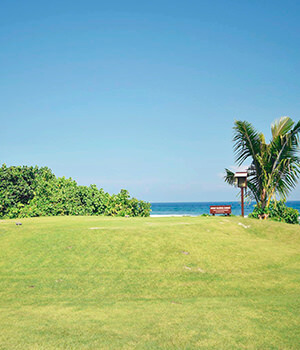 Самые плоские и низкие