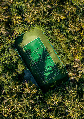 Теннисный корт в сени пальм, защищающих от солнца