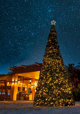 Звезды – как снежинки, только ярче!