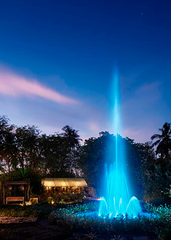 По вечерам ферма Green Fingers особенно красива