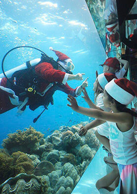 Санта-дайвер – только в подводном ресторане Sea