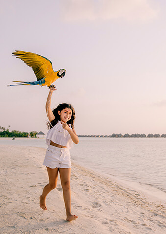 Вот такие классные попугаи живут в Sun Siyam Olhuveli!