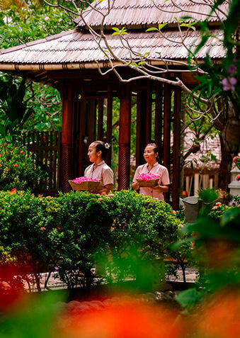 Спа по-мальдивски – это всегда море цветов!