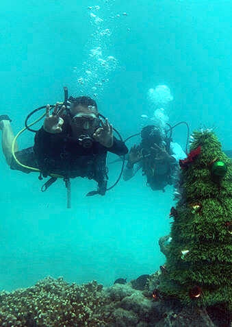 Новый год можно отмечать и на дне океана