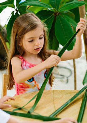 Научиться плести поделки из пальмовых листьев