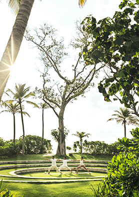 Йога в восхитительно концептуальном Mystique Garden