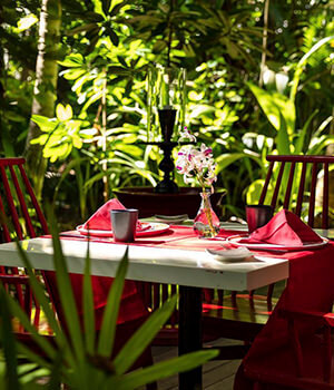 В верхушках пальм