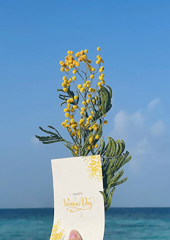 Милая веточка мимозы на 8 Марта – даже на Мальдивах