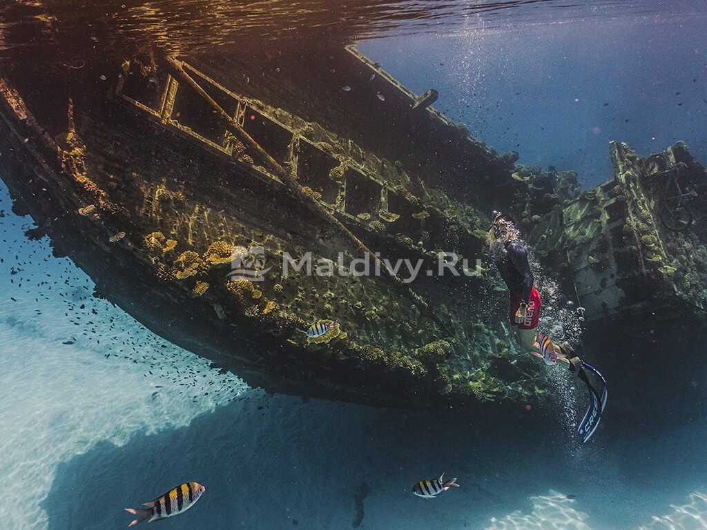 Снорклинг в Sun Siyam Vilu Reef Maldives