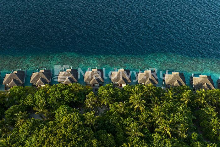 Вид на океан