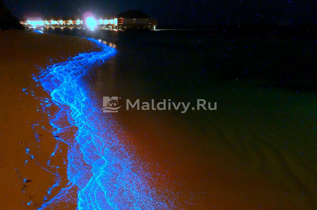 Светящийся океан на Мальдивах: море звезд у ваших ног!