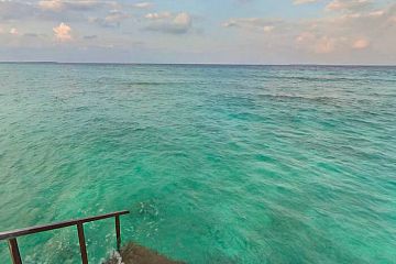 Вид на океан