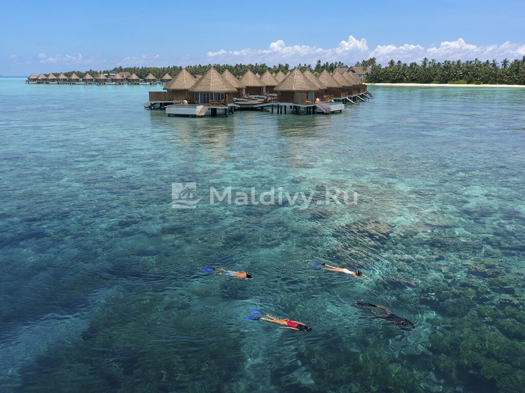 Снорклинг в Mercure Kooddoo Maldives Resort