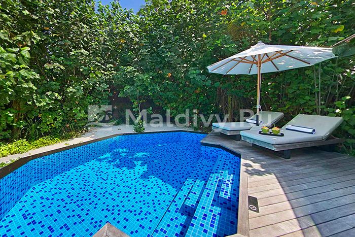 Терраса и бассейн