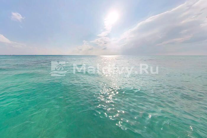 Вид на океан