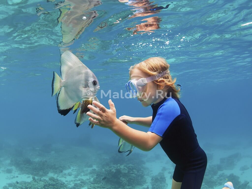 Снорклинг в Emerald Faarufushi Resort & Spa