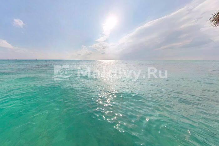 Вид на океан