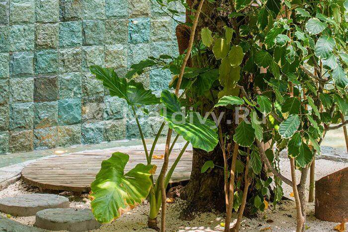 Открытый душ