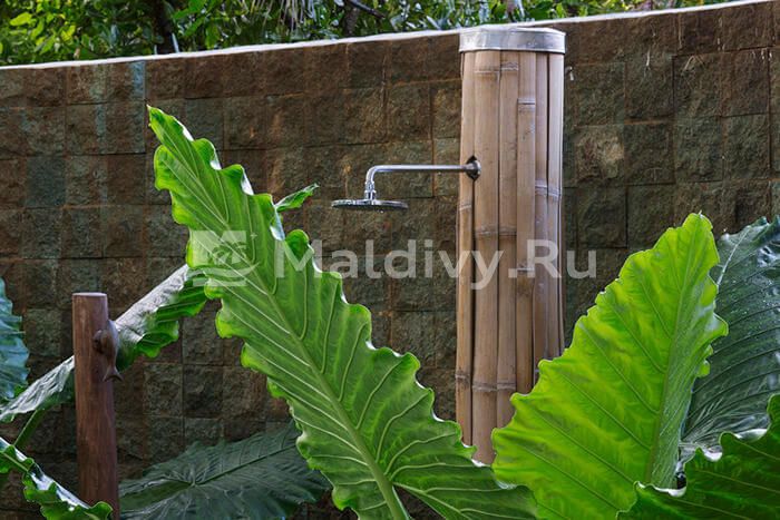 Открытые души