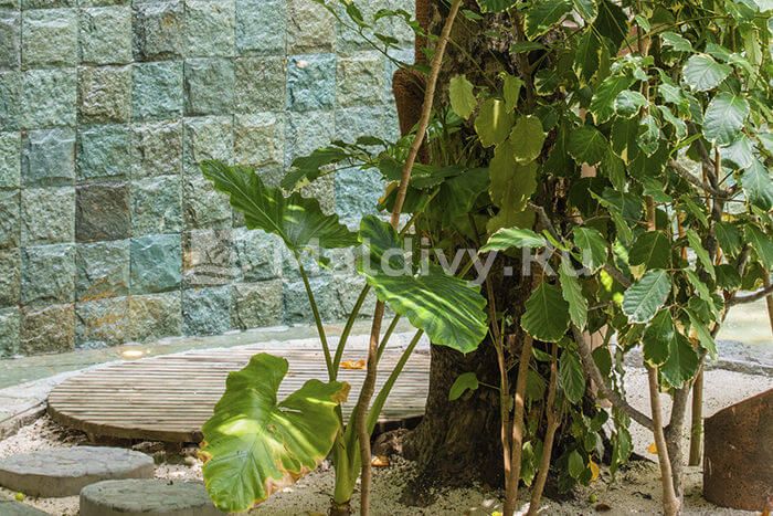 Открытая душевая