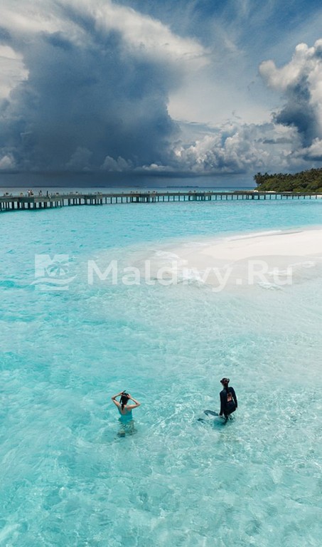 Снорклинг в JOALI Maldives