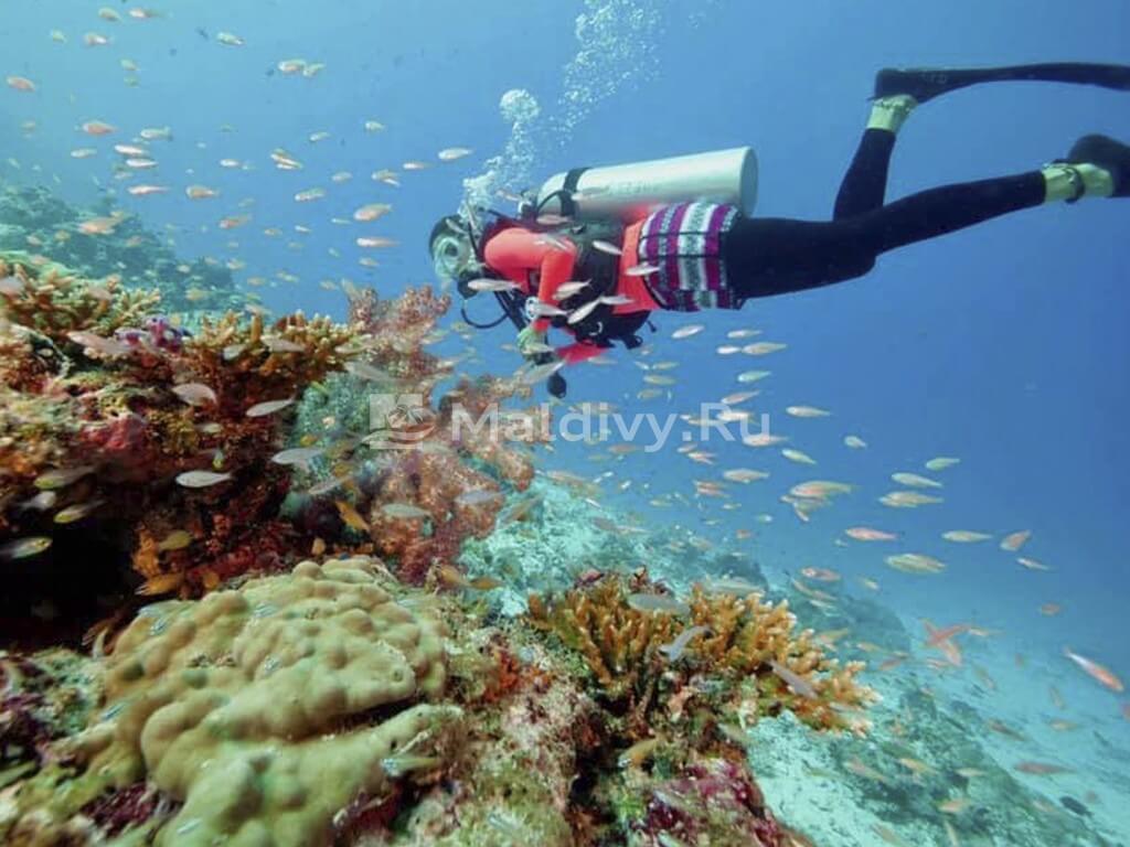 Дайвинг в Centara Ras Fushi Resort & Spa Maldives