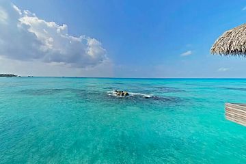 Вид на океан